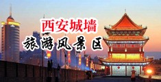 狗链黑丝自慰在线中国陕西-西安城墙旅游风景区